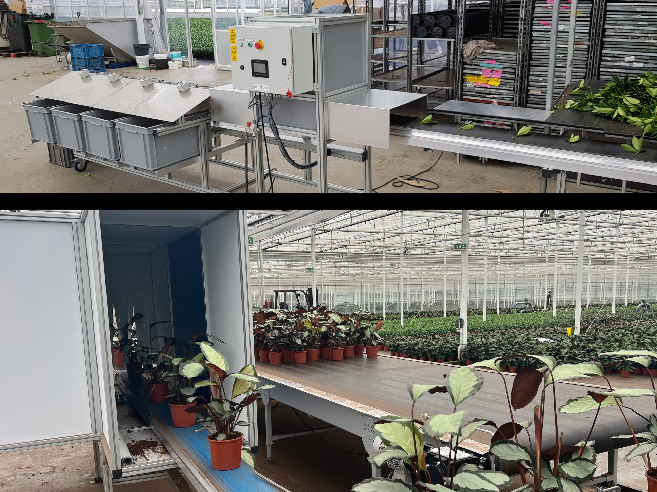 Vision sorting system – Willburg Projecten