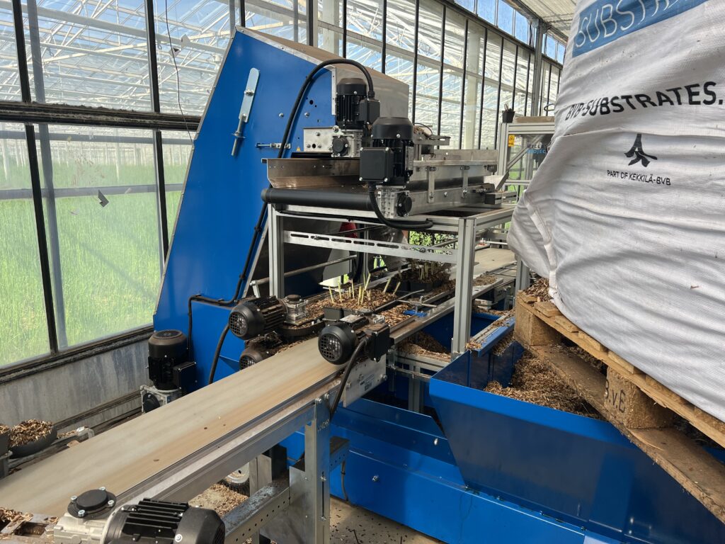 Wasserpflanzen eintopfen