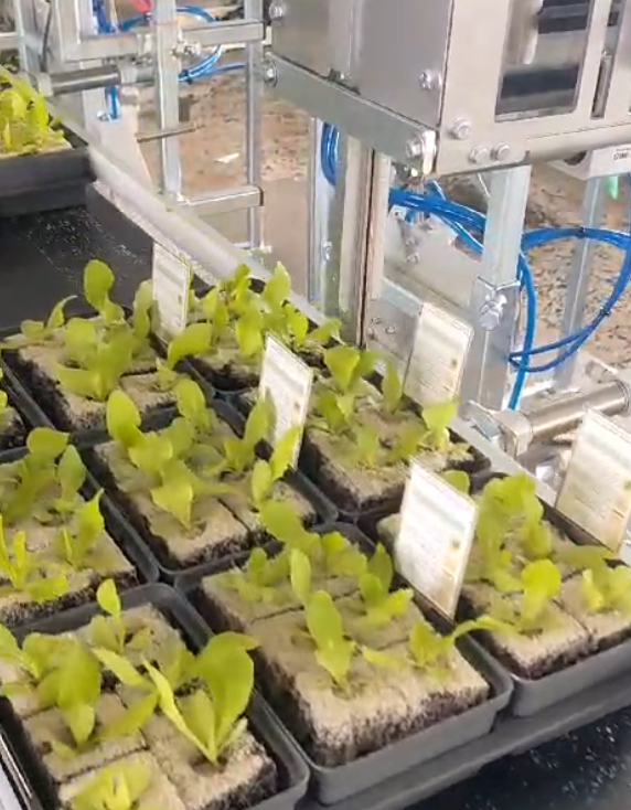 Schlitz-Etikettierer